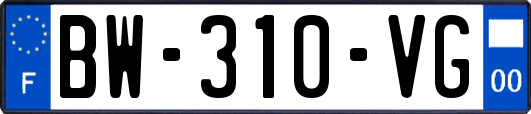 BW-310-VG