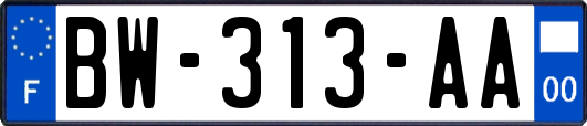 BW-313-AA