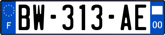 BW-313-AE