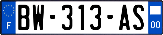 BW-313-AS