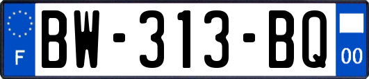 BW-313-BQ