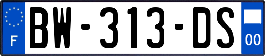 BW-313-DS