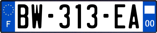 BW-313-EA