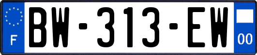 BW-313-EW