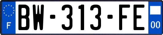 BW-313-FE