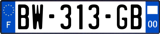 BW-313-GB