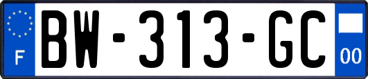 BW-313-GC