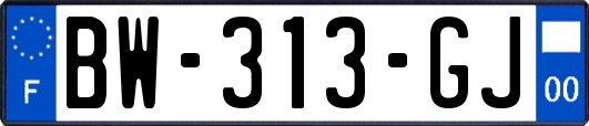 BW-313-GJ