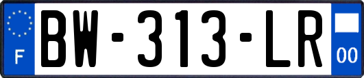BW-313-LR