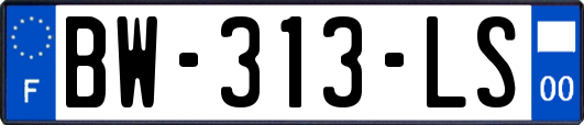 BW-313-LS