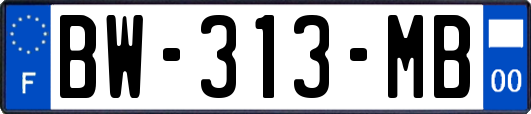 BW-313-MB
