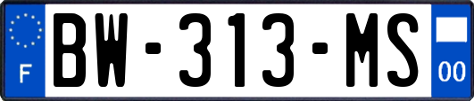 BW-313-MS