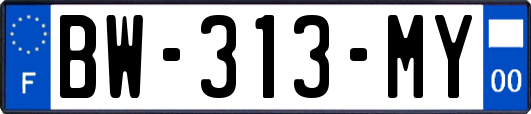 BW-313-MY