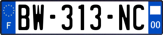 BW-313-NC