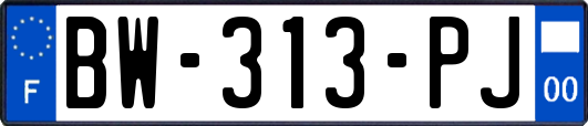 BW-313-PJ