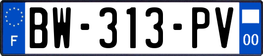BW-313-PV