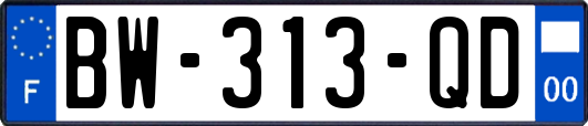 BW-313-QD