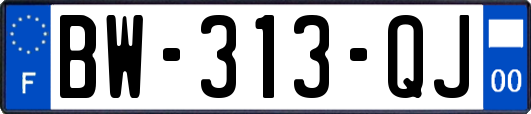 BW-313-QJ