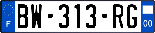 BW-313-RG