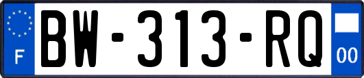 BW-313-RQ