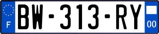 BW-313-RY