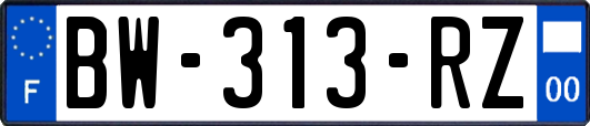 BW-313-RZ