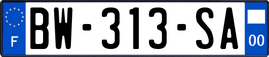 BW-313-SA