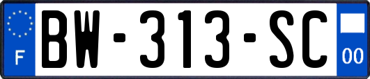 BW-313-SC