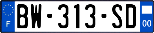 BW-313-SD
