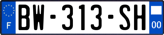BW-313-SH