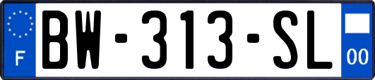 BW-313-SL