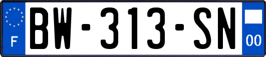 BW-313-SN