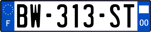 BW-313-ST