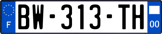 BW-313-TH