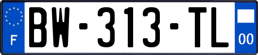 BW-313-TL