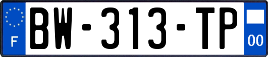 BW-313-TP