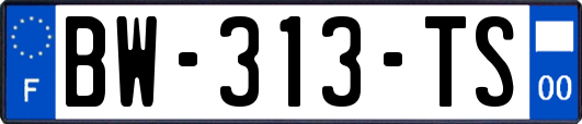 BW-313-TS