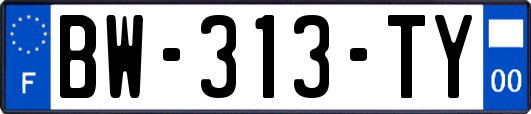 BW-313-TY