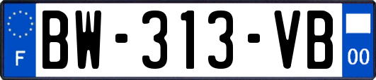 BW-313-VB