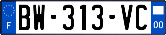 BW-313-VC