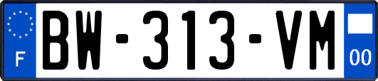 BW-313-VM