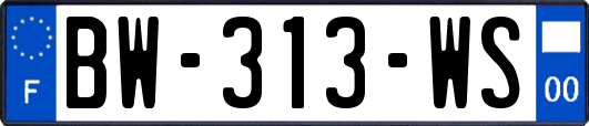 BW-313-WS
