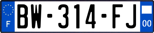 BW-314-FJ