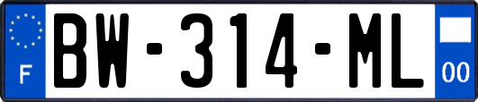 BW-314-ML