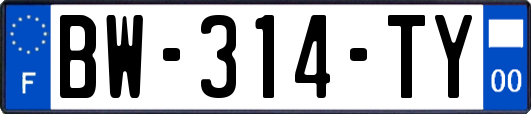 BW-314-TY