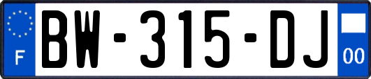 BW-315-DJ