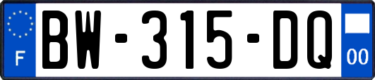 BW-315-DQ