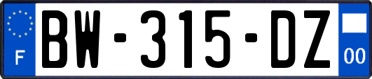 BW-315-DZ