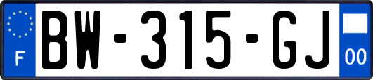 BW-315-GJ