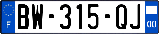 BW-315-QJ